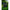 Geanta Korda Compac Cooler Bag, Small, Dark Camo, 27x25x12cm, 8litri