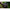Geanta Korda Compac Goo Bag Dark Kamo, Small, 17x15x10.5cm(6goo)