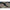 Geanta Korda Bait Cool, 12l