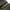 Geanta Trakker Nxc Camo Pro Carryall Large, 65x38x30cm