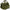 Geanta Termoizolanta Daiwa Black Widow Cool Bait 36x29x24cm
