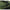 Geanta Termoizolanta Ngt Insulated Bait Carryall, Verde, 43x24x21cm