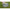 Geanta Thermo Matrix Eva Xl Bait Storage System 55x30x21cm