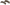 Greutati Method Daiwa Nzon Weight Change S, 5-10g, 2buc/pac