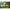 Groundsheet Dd Hammocks Superligh Olive Green 210cmx150cm