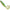 Grub Berkley Sick Curl, Hot Firetiger, 12cm, 30buc/pac
