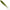 Grub Libra Lures Turbo Worm Mini, 35mm, 0.34g, Olive, 15buc/pac