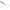 Grub RAPALA Soft Olio, BGH, 18cm, 55g, 1buc/pac