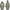 HANORAC KRYSTON OLIVE M