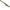 HUSA CARP ZOOM PROTECTIE LANSETA CRAP 12FT 205x25cm