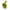 HUSA DAIWA KEVLAR PT LANSETA DINTR-O BUCATA 190X4CM BLACK/GREEN