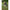 Husa Lansete Korum Transition 3 Rod Holdall 168x29x15cm