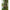 Husa Lansete Korum Transition 3 Rod Holdall 168x29x15cm