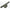 HUSA LANSETE NASH SCOPE OPS SINGLE ROD SKINS 1.85M