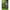 Husa Neopren Korum Protectie Varf / Talon Supa Lite Rod Saver 1 Rod