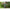 Husa Neopren Korum Protectie Varf / Talon Supa Lite Rod Saver 2 Rod