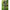 Husa Neopren Korum Protectie Varf / Talon Supa Lite Rod Saver 2 Rod