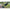 Hamac Dd Junior Frontline Dd Hammock Olive Green, 1.9mx1.1m