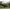 Hamac Nash Bank Life Hammock, 270x160cm