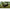 Hamac Nash Bank Life Hammock, 270x160cm