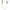 Hanger Carp Academy Wiron, Verde