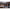 Hanger Fox Black Label Dinky Bobbin, Alb