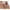 Hanorac Fox Collection Lw Zip Hoody Tan Ltd Brown, Marimea L