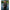 Hanorac Fox Collection Pullover Hoody, Black, Marimea M