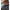 Hanorac Fox Collection Zipped Hoody, Black, Masura M