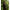 Hanorac Korda Zip Hoodie, Dark Kamo, Marime S