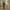 Hanorac Nash Zt Wind Chill Hoody Camo, Marime L