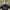 Hanorac Nash Zt Wind Chill Hoody Camo, Marime M
