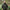 Hanorac Nash Zt Wind Chill Hoody Camo, Marime S