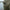 Hanorac Nash Make It Happen Hoody Box Logo Green, Marimea S