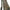 Husa 1 Lanseta Nash Subterfuge Hi Protect 1 Rod Skin 2025, 10ft/3.00m