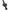 Husa 2 lansete Prologic Avenger  XX 3.05m