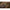 Husa 3 Lansete Cu Mulineta Korda Compac 3 Rod Divide Holdall, 13ft/3.90m