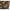 Husa Cantar Fox Camolite Scales Pouch, 21x30x6cm