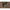 Husa Korum Progress Compact Quiver 2 Rods, 130x10x9cm