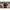 Husa Korum Progress Compact Quiver 2 Rods, 130x10x9cm