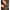 Husa Lansete Fox Camo Retractable Tri Sleeve 8-10ft