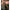 Husa Lansete Fox Camo Retractable Tri Sleeve 8-10ft