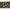 Husa Lansete Korum Progress Folding Quiver 2 Rod