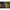 Husa Lansete Matrix Ethos Rod Holdall, 2 Compartimente