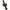 Husa Lansete Prologic Avenger Padded Multi Sleeve 2 Rod 12ft
