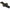 Husa Lansete Prologic Avenger Padded Multi Sleeve 3 Rod 10ft