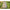 Husa Lansete Cu Mulineta Prowess Osmose 4+4 Holdall 13ft/220cm