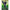 Husa Matrix Ethos Rigid Holdall, 2 Compartimente