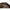 Husa Pat Fox Camolite Bed Bag Small 95x80x22cm