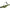Husa Rigida Formax, 2 Lansete, 165cm